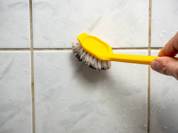 Best Affordable Mold Removal  in Largo, MD