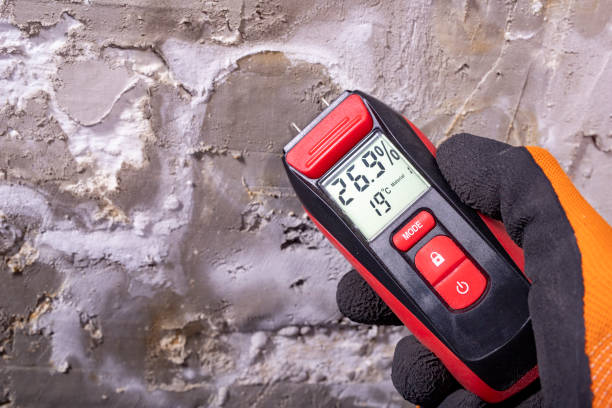 Best Home Mold Removal  in Largo, MD