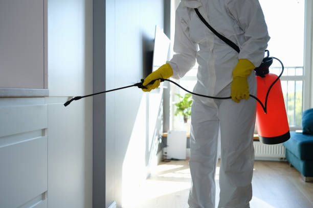 Best Office Mold Removal Services  in Largo, MD