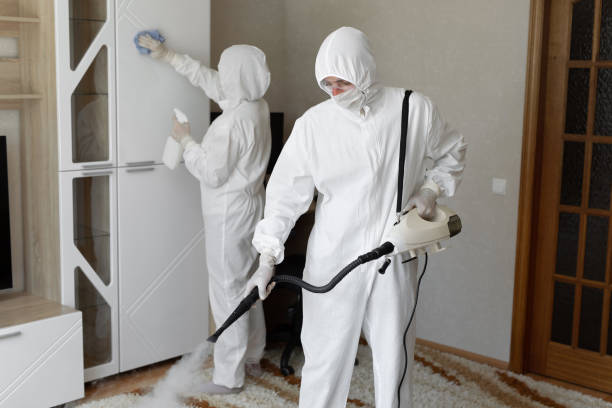 Professional Mold Removal in Largo, MD