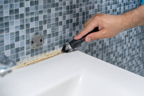 Best Mold Testing  in Largo, MD