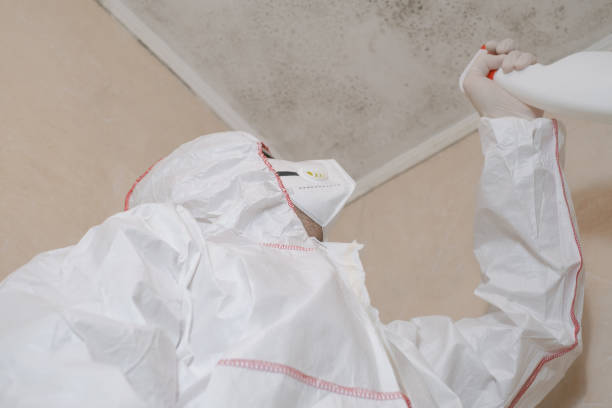 Certified Mold Removal in Largo, MD
