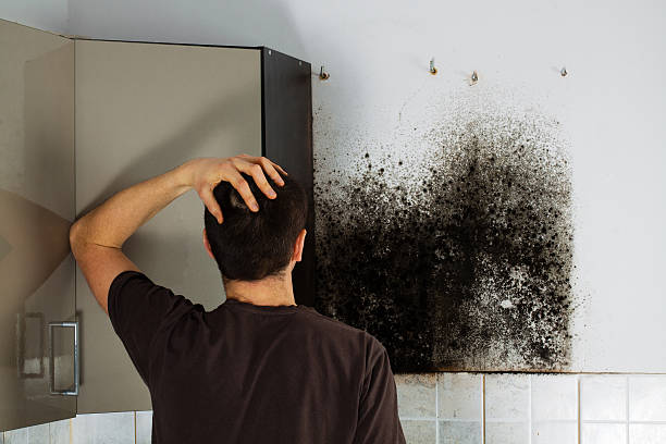 Best Emergency Mold Removal  in Largo, MD